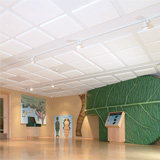 CONTOUR® Ceiling Tiles